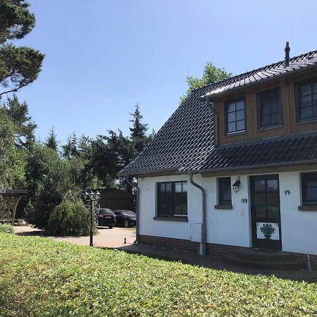 Haus Hugo Zingst Apartment Екстериор снимка
