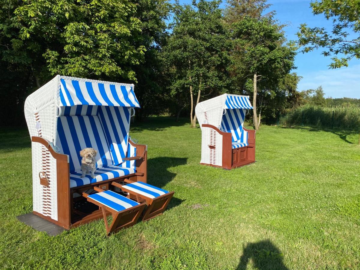 Haus Hugo Zingst Apartment Екстериор снимка